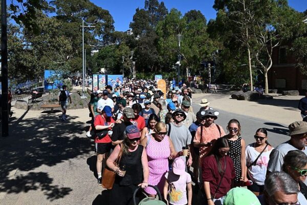 Australian Open live: Tennis Australia under pressure to fix 'worst fan experience'