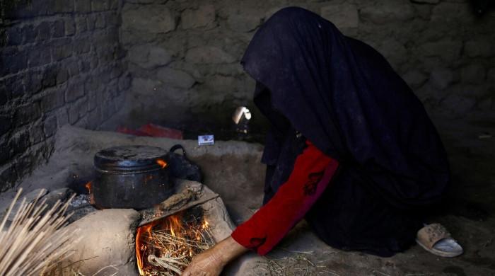 'Content to die': Afghanistan's hunger crisis worsened by winter, aid cuts