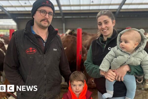 Dairy farm crisis: The money we earn from selling our milk doesn't cover our costs