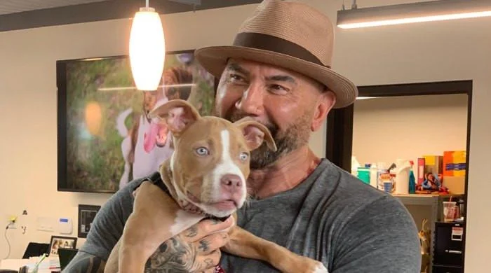 Dave Bautista shares one of the luxuries he provides his 4 dogs