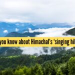 Did you know about Himachal’s ‘singing hills’? Here’s where to find them | - The Times of India