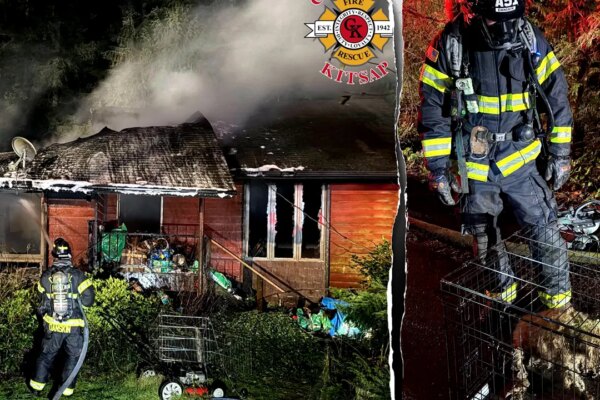 Dozens of dogs killed in fire at home of ‘breeder’ in Washington state, firefighters rescue 3 from flames