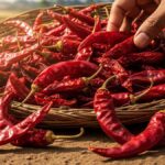 From Kashmiri To Bhut Jolokia: India’s Most Iconic Chillies