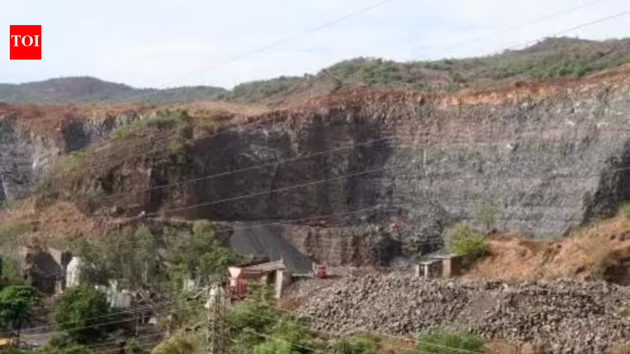 Govt notifies rules for use of Environmental (Protection) Fund | India News - The Times of India