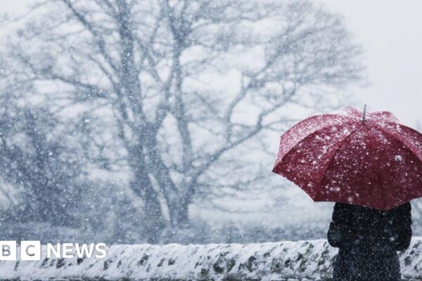 How do cold health alerts work and what do the different levels mean?