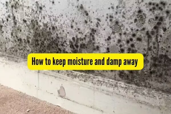 How to keep moisture and damp away from your walls and almirah | - The Times of India