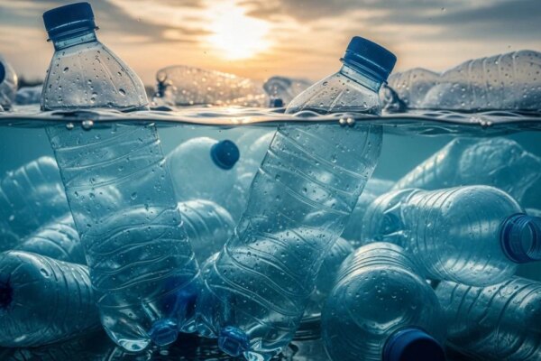 Let’s Talk Sex | That Plastic Water Bottle You Carry All Day Could It Be Affecting Your Sex Life