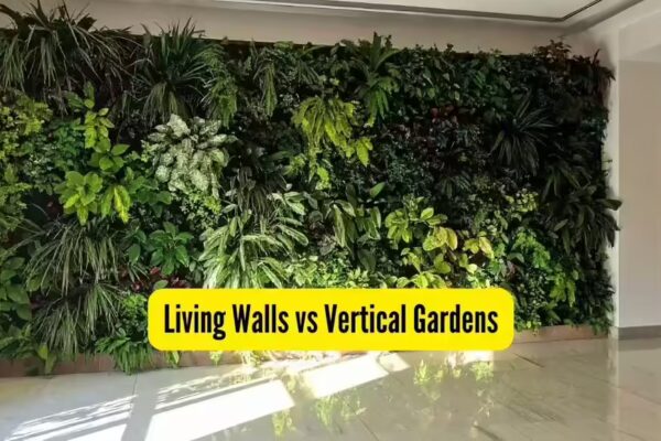 Living Walls vs Vertical Gardens: What’s the real difference, which is the best and why? | - The Times of India