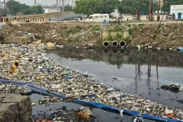 NGT issues notice to UP after report on water contamination | Noida News - The Times of India