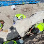 New fossils uncovered at Dinosaur National Monument, leading to first excavation there in a century