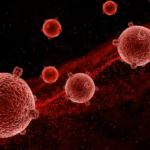 Nipah Virus Detected In Kolkata: 2 Infected Patients In ICU On Ventilator, Govt Starts Contact-Tracing