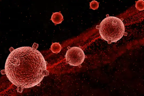 Nipah Virus Detected In Kolkata: 2 Infected Patients In ICU On Ventilator, Govt Starts Contact-Tracing