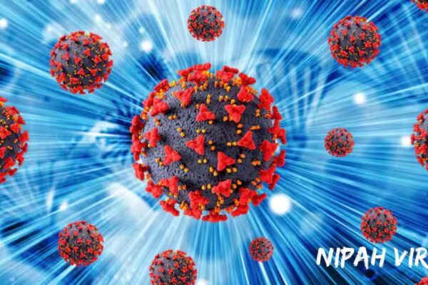 Nipah Virus Outbreak: Chinese researchers claim COVID-19 drug can fight the deadly infection - All you need to know