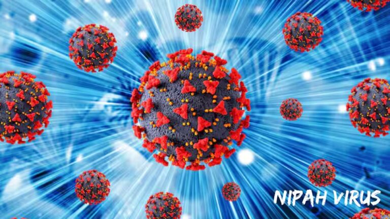 Nipah Virus Outbreak: Chinese researchers claim COVID-19 drug can fight the deadly infection - All you need to know