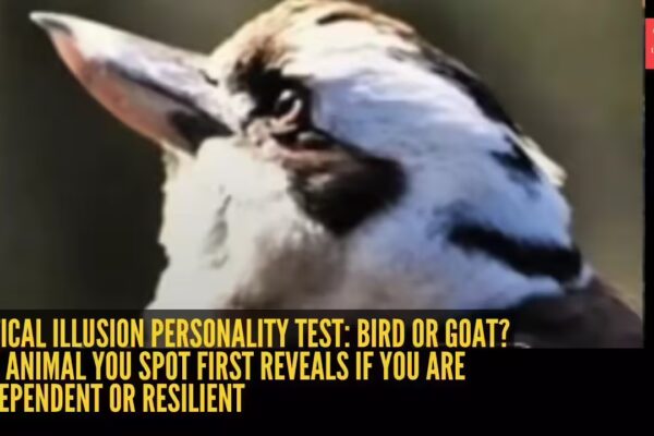 Optical illusion personality test: Bird or goat? The animal you spot first reveals if you are independent or resilient - The Times of India