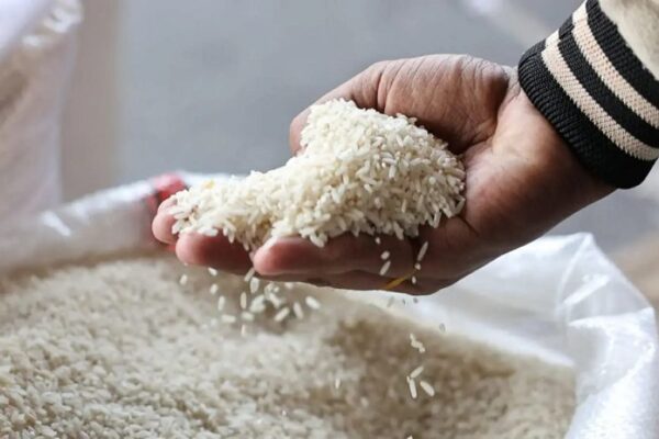 Pakistan becomes world’s third-largest rice exporter - SUCH TV