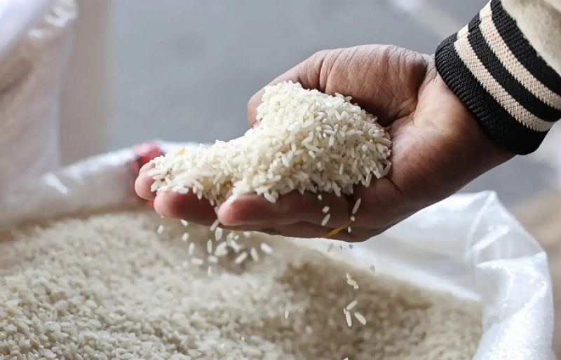 Pakistan becomes world’s third-largest rice exporter - SUCH TV