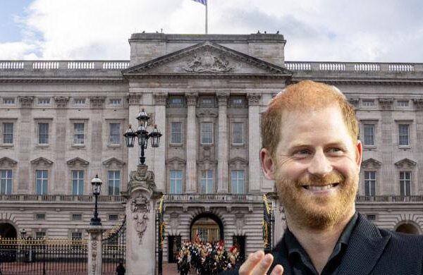Palace takes bold stand for Prince Harry amid security fight