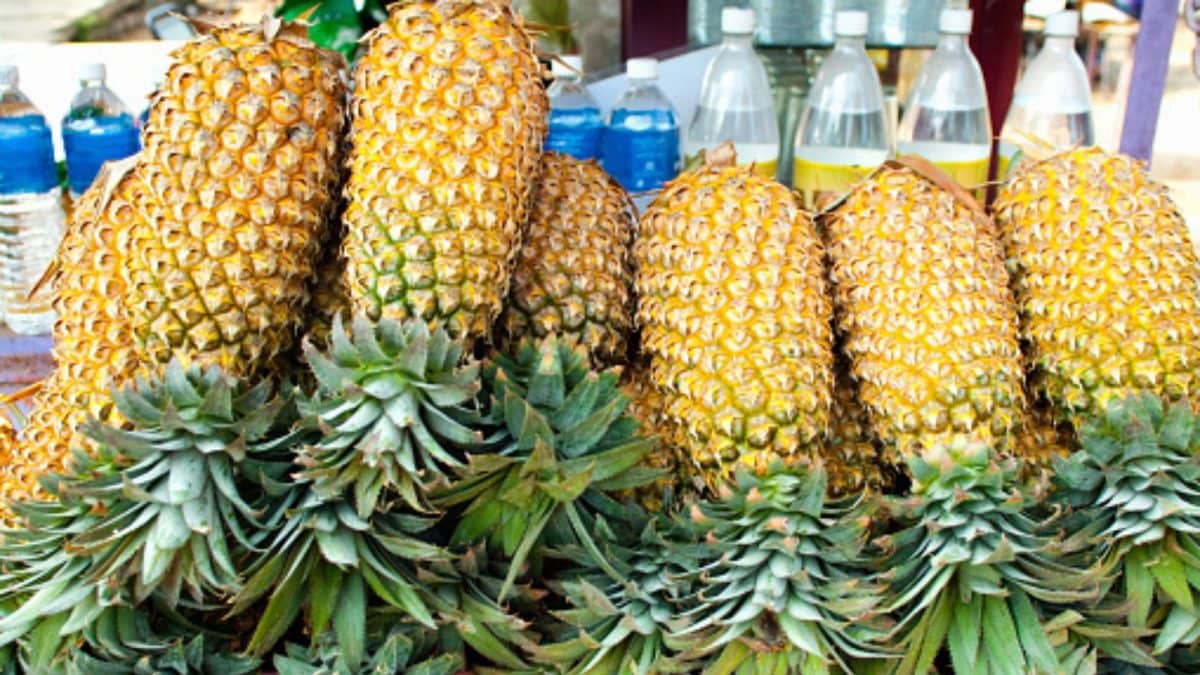 Pineapple Core, Pomegranate Seeds, Dates: Do Viral Fertility Foods Actually Help Men?