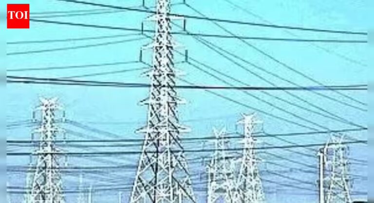 Power sector has investment potential of over Rs 40 lakh crore: Khattar - The Times of India