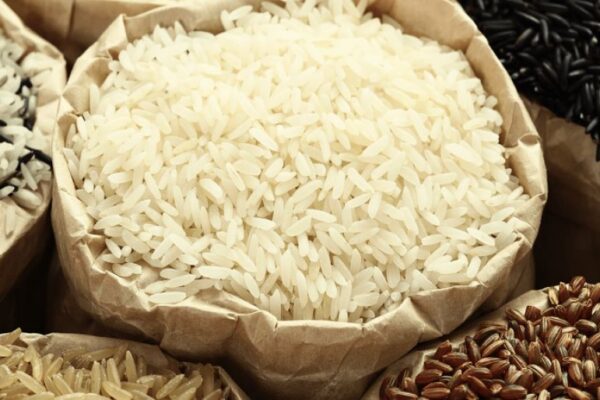 Price of rice records increase in Punjab - SUCH TV
