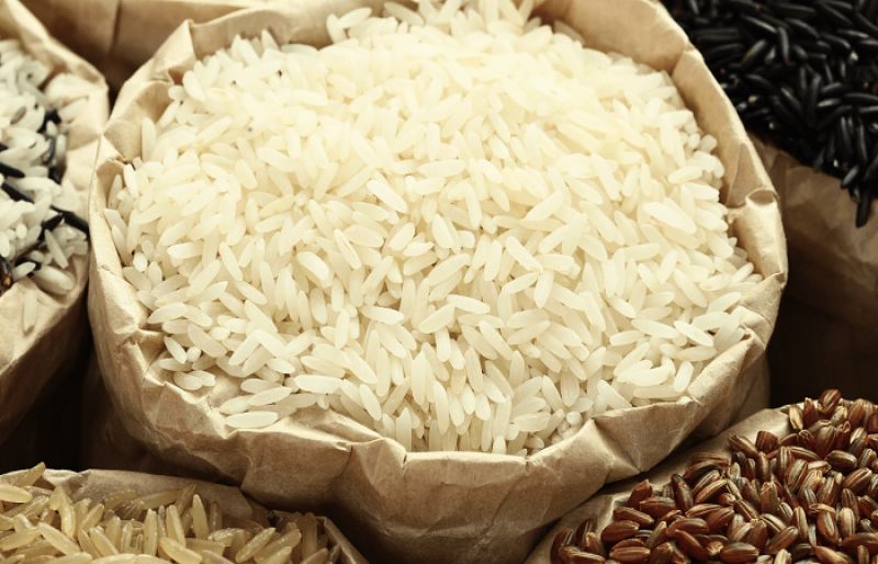 Price of rice records increase in Punjab - SUCH TV