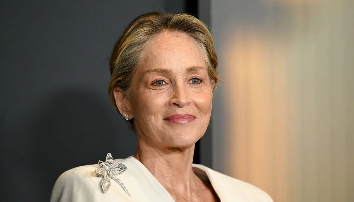 Sharon Stone lashes out at fellow award show attendees after stealing accusations