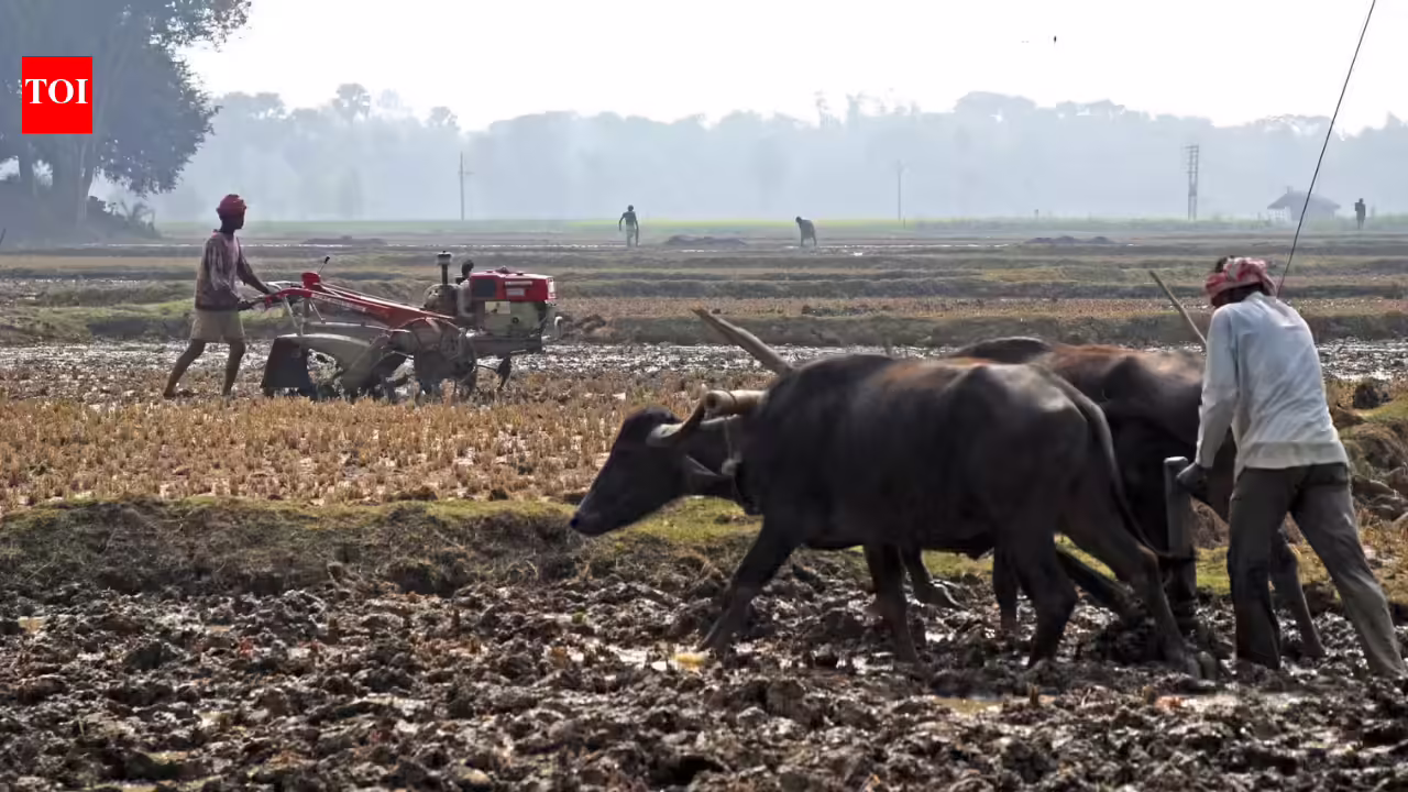 Union Budget 2026: Economists outline growth priorities, expect focus on jobs, farmers, MSMEs - The Times of India