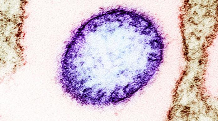 What to know about Nipah virus?