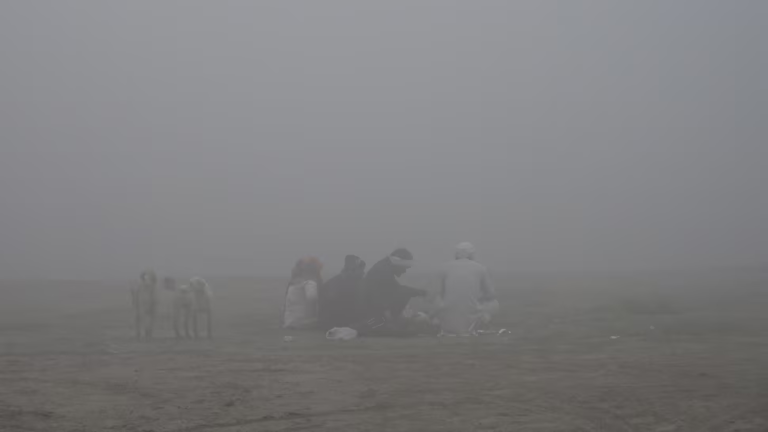 Yellow Alert In Delhi-NCR: 7 Essential Steps To Protect Yourself From Ongoing Cold Wave