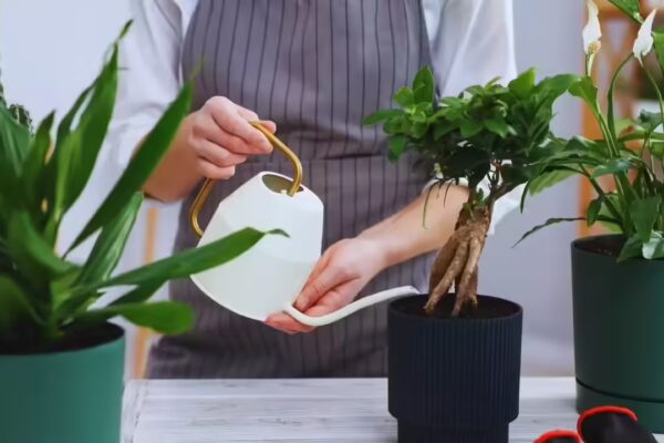 5 brilliant uses of old, broken pans and cookware | - The Times of India