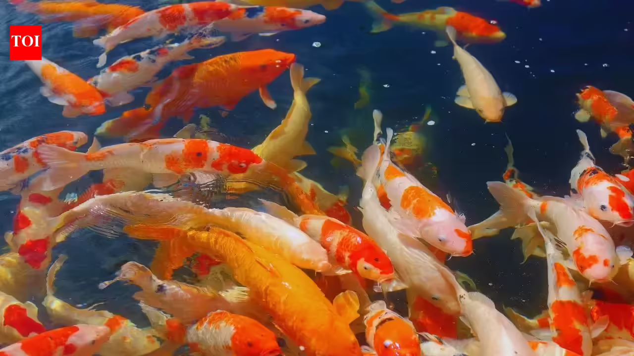 6 Vastu-recommended paintings you should have in your home to attract wealth and prosperity