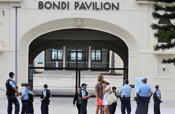 Alleged Bondi Beach gunman makes first court appearance