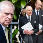 Andrew probe takes stark turn as prosecutor sends brutal warning to royals