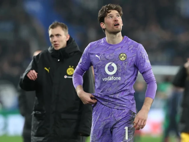 borussia dortmund goalkeeper gregor kobel in action photo afp file