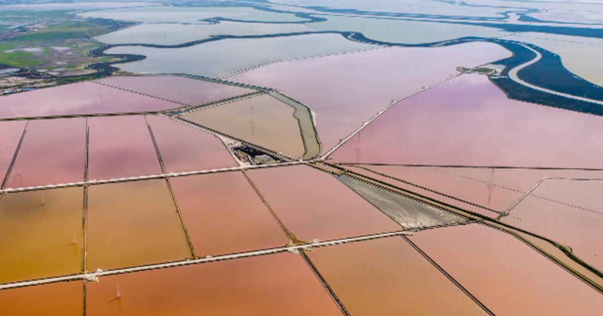 Bay Area's vibrant salt pools create striking backdrop for Super Bowl LX
