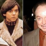 Bud Cort, 'Harold and Maude' star, dies at 77 following long illness