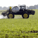 Pesticide in food that