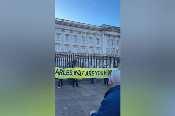 Video Player Placeholder