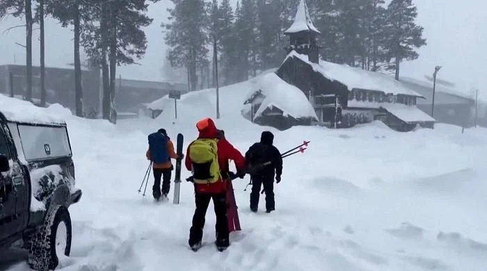 Eight skiers confirmed dead in California avalanche, one still missing