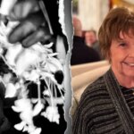 Former FBI analyst believes Guthrie suspect is amateur criminal, Savannah's latest message tailored to him