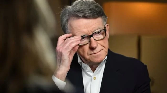 Former UK minister Mandelson quits Labour after new Epstein revelations: reports