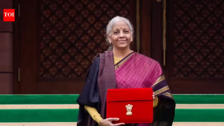 Govt to permit sale of goods from SEZs in domestic market – The Times of India