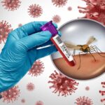 India Nears Breakthrough as Single-Dose Dengue Vaccine Enters Final Trials - SUCH TV