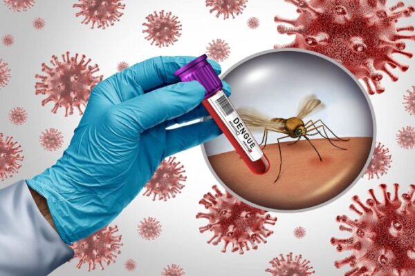 India Nears Breakthrough as Single-Dose Dengue Vaccine Enters Final Trials - SUCH TV