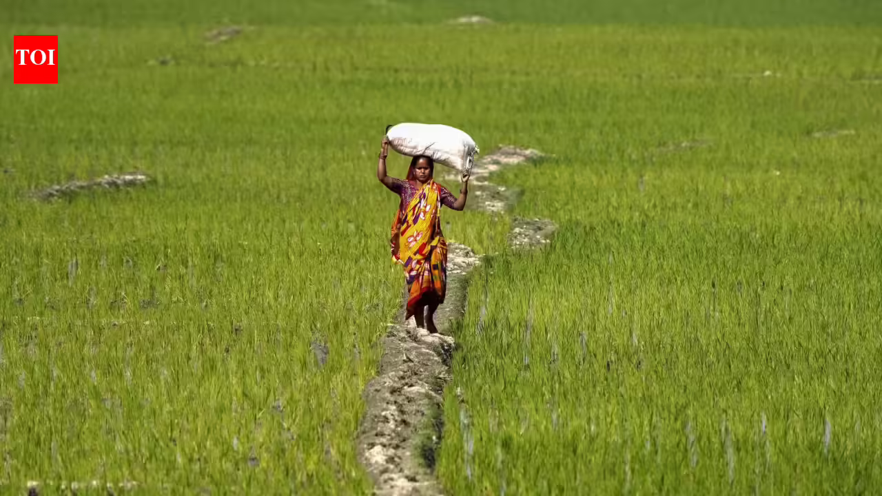 India offers limited access to agri goods; protects staples, dairy - The Times of India