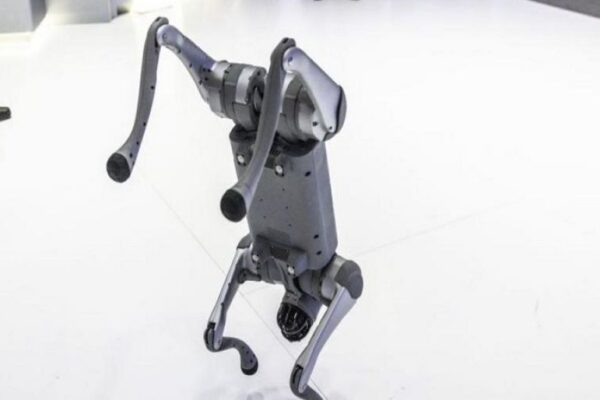 Indian university faces backlash for claiming Chinese robodog as own at AI summit - SUCH TV