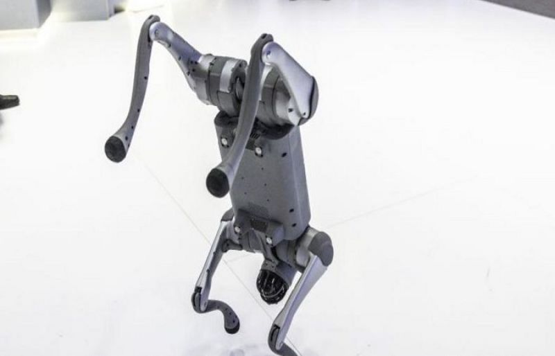 Indian university faces backlash for claiming Chinese robodog as own at AI summit - SUCH TV