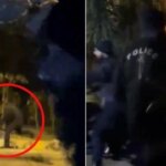 Islamabad police suspend Dolphin Squad officers over alleged assault on couple