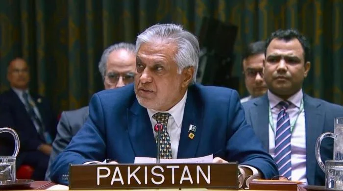 Israel's violations threaten lasting peace, resolution 2803 must be implemented, Dar tells UN